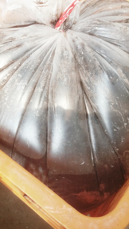kakaotalk_20160725_210525598.jpg