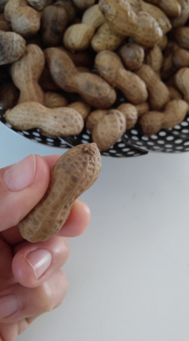 20161020_115133.png